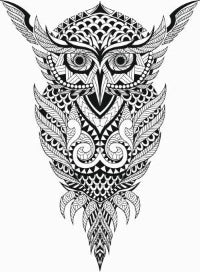 Owl Lace Vector graphics - Laser Studio